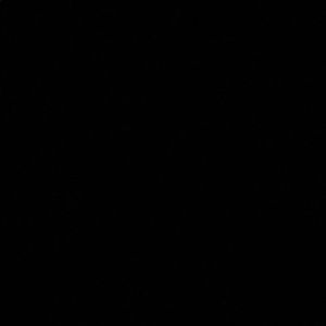 Meet your Posher, Spencer